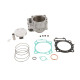 Циліндр WORKS Циліндр комплектація HONDA crf 450r '07-'08 standard 96mm (porsche VERTEX 22900, top-end + Циліндр) (hc 12.5:1)