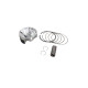 Wossner 2024/12 поршень (4t) yamaha yfm 700 raptor / grizzly / kodiak / viking '15-'25 (std. + 1,00mm = 101,94mm) (10,0:1 cr)