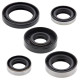 WINDEROSA (VERTEX) Комплект Прокладок для двигуна KAWASAKI KLX110 02-20, KLX110L 10-20, SUZUKI DRZ110 03-06