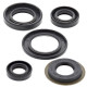 WINDEROSA (VERTEX) Комплект Прокладок для двигуна YAMAHA TTR 225 '99-'04, TTR 230 '05-'21, XT 225 '92-'07