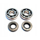Bearing worx підшипники коленвала sherco sef 250r '15-'18, sef 300r '15-'18