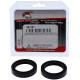 All balls шари передньої підвіси сальники bmw c600 12-15, c650gt 11-15, r100gs 87-94, moto guzzi breva 750 03-07, nevada 750 02-05, v