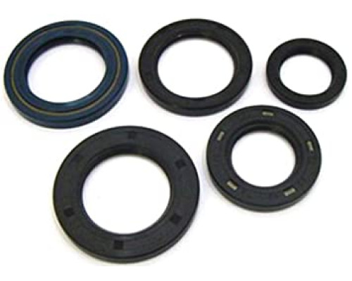 WINDEROSA (VERTEX) Комплект Прокладок для двигуна HONDA CRF450R 02-06