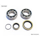 Bearing worx підшипники коленвала beta 2t 250 / 270 / 290 / 300, rr 250 / 300 '13-'22 (ntn) (вироблено в японії) (23.cbs73013)
