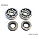 Bearing worx підшипники коленвала kawasaki kx 65/80/85, suzuki rm 60/65 (ntn) (made in japan) (24-1006)