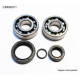 Bearing worx підшипники коленвала ktm sx 50 10-12, sx50 mini 09-15 (ntn) (made in japan) (24-1099)