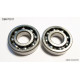 Bearing worx підшипники коленвала suzuki ltr 450 '06-'12 (ntn) (made in japan) (24-111 Racing6) (k051)