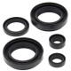 WINDEROSA (VERTEX) Комплект Прокладок для двигуна ARCTIC CAT 400 4X4 W/MT '03-'04, LTF400F 4WD/2WD KING QUAD '08-'12
