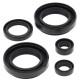 WINDEROSA (VERTEX) Комплект Прокладок для двигуна ARCTIC CAT 400 4X4 W/MT '03-'04, LTF400F 4WD/2WD KING QUAD '08-'12