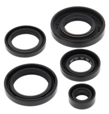 WINDEROSA (VERTEX) Комплект Прокладок для двигуна ARCTIC CAT 650 4X4 H1 07-11, 650 H1 LTD 05-07, 650 H1 MUDPRO 10-11, 650 TRV 07-08, 650 TRV LTD 07