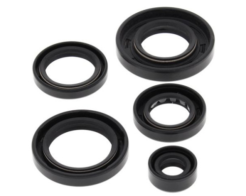 WINDEROSA (VERTEX) Комплект Прокладок для двигуна ARCTIC CAT 650 4X4 H1 07-11, 650 H1 LTD 05-07, 650 H1 MUDPRO 10-11, 650 TRV 07-08, 650 TRV LTD 07