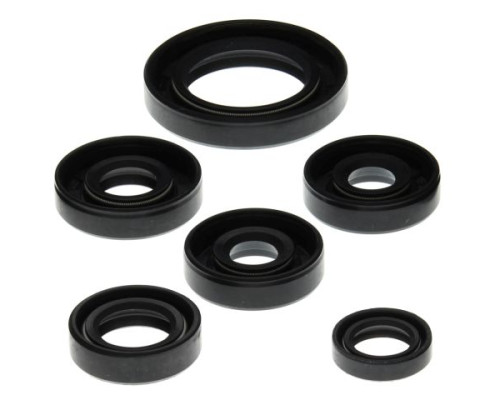 WINDEROSA (VERTEX) Комплект Прокладок для двигуна CAN-AM DS650 00-07