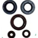 WINDEROSA (VERTEX) Комплект Прокладок для двигуна CAN-AM OUTLANDER DPS 450 EFI 15-20, OUTLANDER MAX DPS 450 EFI 15-20, DEFENDER 500 17-20, DEFENDER 500 DPS 17-20, DEFENDER 500 DPS CAMO 17, OUTLANDER MAX 450 6X6 19-20 - ZAST?PUJE 822998
