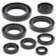 WINDEROSA (VERTEX) Комплект Прокладок для двигуна HONDA CR125R 84-85