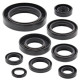 WINDEROSA (VERTEX) Комплект Прокладок для двигуна HONDA CR250R 85-87