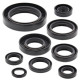 WINDEROSA (VERTEX) Комплект Прокладок для двигуна HONDA CR250R 85-87