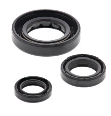 WINDEROSA (VERTEX) Комплект Прокладок для двигуна HONDA CRF150F 06-17
