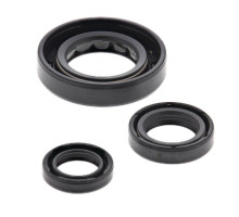 WINDEROSA (VERTEX) Комплект Прокладок для двигуна HONDA CRF150F 06-17
