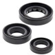 WINDEROSA (VERTEX) Комплект Прокладок для двигуна HONDA CRF230F(CRF 250) 03-19, CRF230L 08-09, CRF230M 09