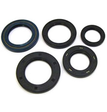 WINDEROSA (VERTEX) Комплект Прокладок для двигуна HONDA CRF450R 02-06