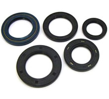 WINDEROSA (VERTEX) Комплект Прокладок для двигуна HONDA CRF450R 02-06