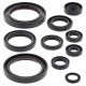 WINDEROSA (VERTEX) Комплект Прокладок для двигуна HONDA CRF450R 07-08