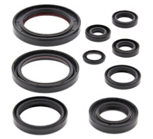 WINDEROSA (VERTEX) Комплект Прокладок для двигуна HONDA CRF450R 09-16