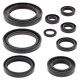 WINDEROSA (VERTEX) Комплект Прокладок для двигуна HONDA CRF450R 09-16