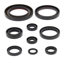 WINDEROSA (VERTEX) Комплект Прокладок для двигуна HONDA TRX450 ER 06-14, TRX450R 06-09