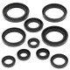 WINDEROSA (VERTEX) Комплект Прокладок для двигуна HONDA TRX450R 04-05