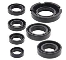 WINDEROSA (VERTEX) Комплект Прокладок для двигуна HONDA XR250L 91-96, XR250R 86-95