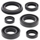 WINDEROSA (VERTEX) Комплект Прокладок для двигуна HONDA XR250R 96-04