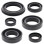 WINDEROSA (VERTEX) Комплект Прокладок для двигуна HONDA XR250R 96-04