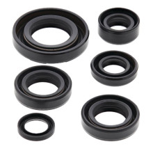 WINDEROSA (VERTEX) Комплект Прокладок для двигуна KAWASAKI KDX50 03-06, SUZUKI JR50 78-06