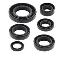 WINDEROSA (VERTEX) Комплект Прокладок для двигуна KAWASAKI KDX50 03-06, SUZUKI JR50 78-06