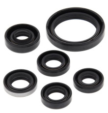 WINDEROSA (VERTEX) Комплект Прокладок для двигуна KAWASAKI KFX450R 08-14