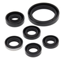 WINDEROSA (VERTEX) Комплект Прокладок для двигуна KAWASAKI KFX450R 08-14