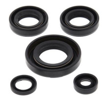 WINDEROSA (VERTEX) Комплект Прокладок для двигуна KAWASAKI KFX50 03-06, SUZUKI LT-A50 02-05