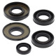 WINDEROSA (VERTEX) Комплект Прокладок для двигуна KAWASAKI KFX80 03-06, SUZUKI LT-80 87-06