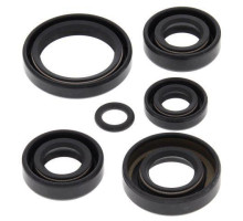 WINDEROSA (VERTEX) Комплект Прокладок для двигуна KAWASAKI KLF300A BAYOU 86-87, KLF300B BAYOU 88-05, KLF300C BAYOU 4X4 89-05
