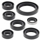 WINDEROSA (VERTEX) Комплект Прокладок для двигуна KAWASAKI KLR250 85-05