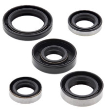 WINDEROSA (VERTEX) Комплект Прокладок для двигуна KAWASAKI KLX110 02-20, KLX110L 10-20, SUZUKI DRZ110 03-06