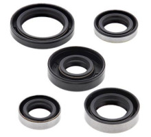 WINDEROSA (VERTEX) Комплект Прокладок для двигуна KAWASAKI KLX110 02-20, KLX110L 10-20, SUZUKI DRZ110 03-06