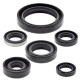 WINDEROSA (VERTEX) Комплект Прокладок для двигуна KAWASAKI KLX250R 94-96, KLX250S 06-18, KLX250SF 09-10, KLX300(R) 97-07