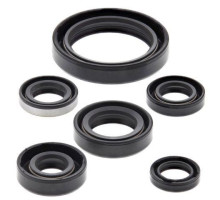 WINDEROSA (VERTEX) Комплект Прокладок для двигуна KAWASAKI KLX250R 94-96, KLX250S 06-18, KLX250SF 09-10, KLX300(R) 97-07