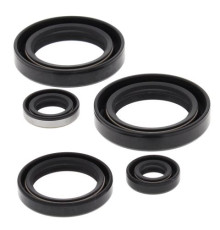 WINDEROSA (VERTEX) Комплект Прокладок для двигуна KAWASAKI KVF300A PRAIRIE 4X4 99-02, KVF300B PRAIRIE 2X4 99-02