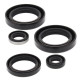 WINDEROSA (VERTEX) Комплект Прокладок для двигуна KAWASAKI KVF300A PRAIRIE 4X4 99-02, KVF300B PRAIRIE 2X4 99-02