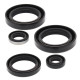 WINDEROSA (VERTEX) Комплект Прокладок для двигуна KAWASAKI KVF300A PRAIRIE 4X4 99-02, KVF300B PRAIRIE 2X4 99-02