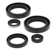 WINDEROSA (VERTEX) Комплект Прокладок для двигуна KAWASAKI KVF300A PRAIRIE 4X4 99-02, KVF300B PRAIRIE 2X4 99-02