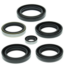 WINDEROSA (VERTEX) Комплект Прокладок для двигуна KAWASAKI KVF360A PRAIRIE 4X4 03-13, KVF360C PRAIRIE 4X4 03-13